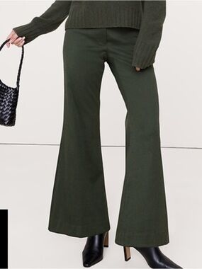 BNWT Banana Republic GREEN Wide-Leg Dress Pants for Women